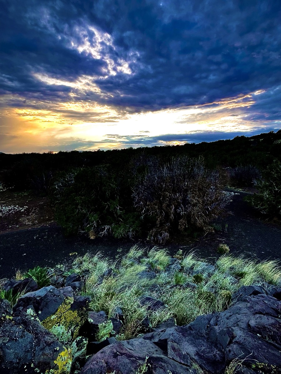Storm light over volcanic rock, bunchgrass, and piñon outside Flagstaff, Arizona